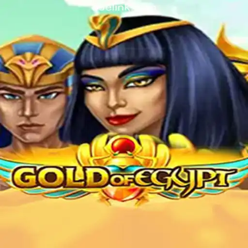 Discover the Thrills of 